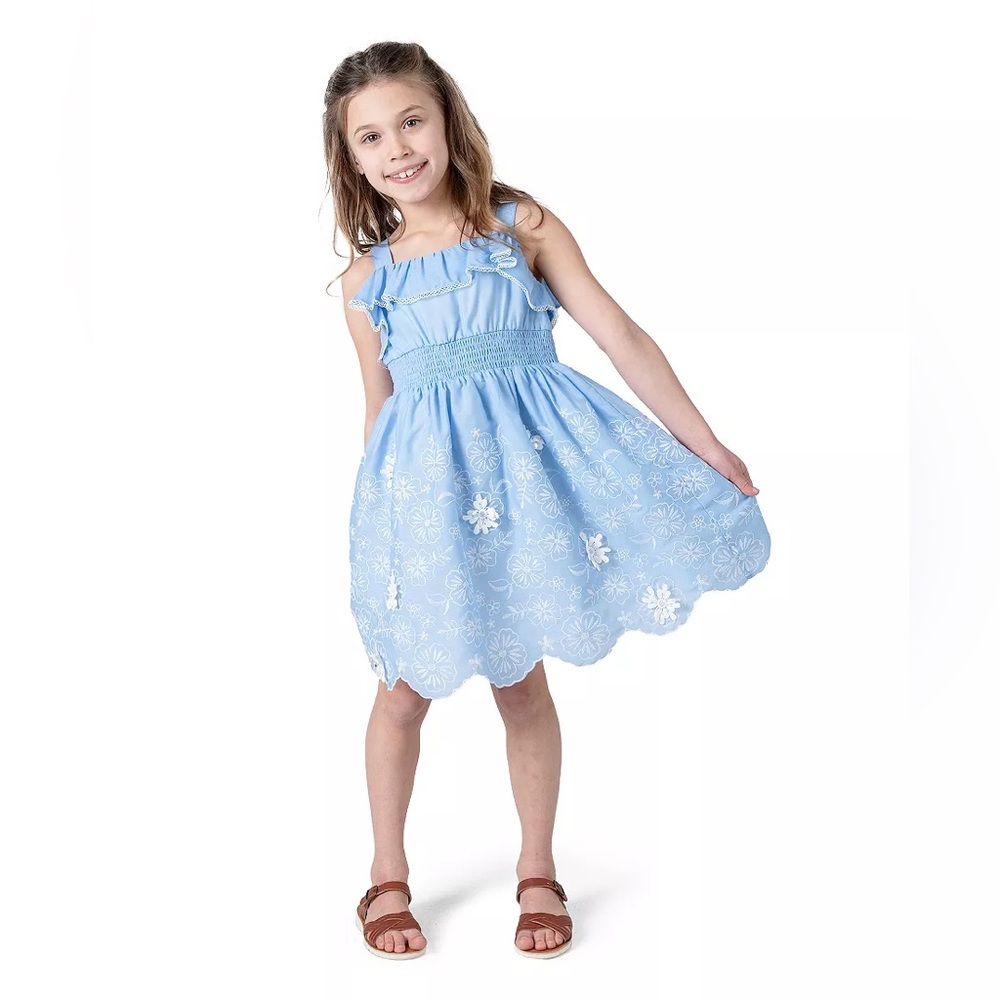 Rare Editions Toddler 3T Blue & White 3D Embroidered Dress